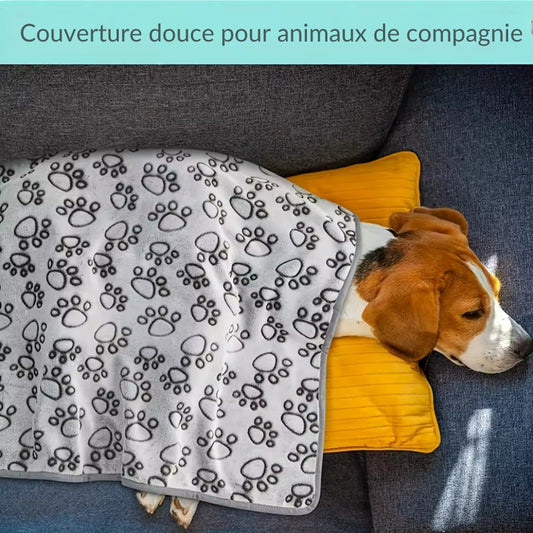 Couverture douce et moelleuse pour animaux de compagnie