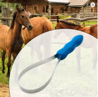 Peigne à cheval, grattoir à brosse équestre