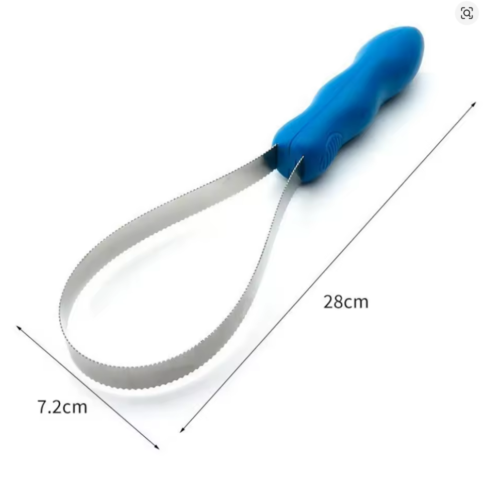 Peigne à cheval, grattoir à brosse équestre