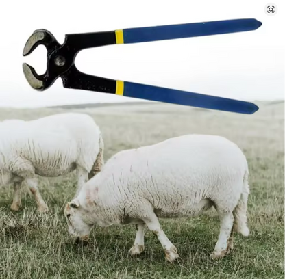 Coupe-sabot de cheval