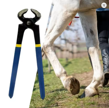 Coupe-sabot de cheval