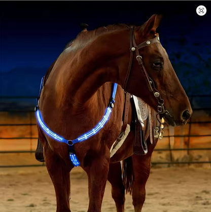 Harnais de Bar en Nylon avec lumière clignotante LED