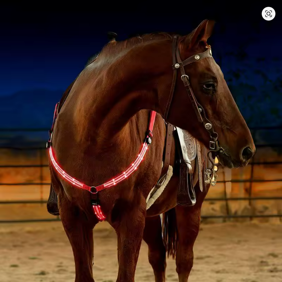 Harnais de Bar en Nylon avec lumière clignotante LED