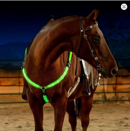 Harnais de Bar en Nylon avec lumière clignotante LED